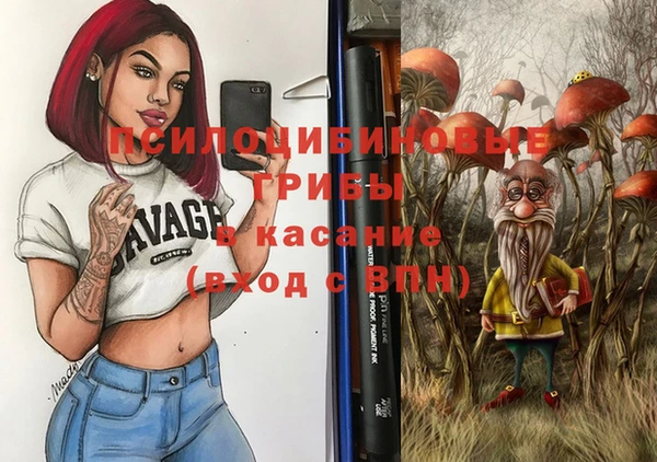 тгк Алексин
