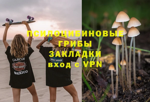 гидра Алексеевка