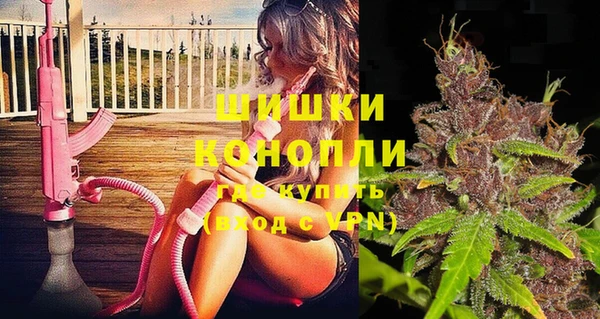 гидра Алексеевка