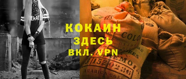 тгк Алексин