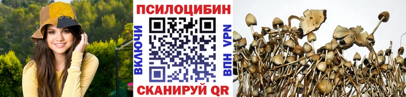 Псилоцибиновые грибы GOLDEN TEACHER  хочу наркоту  Лениногорск 
